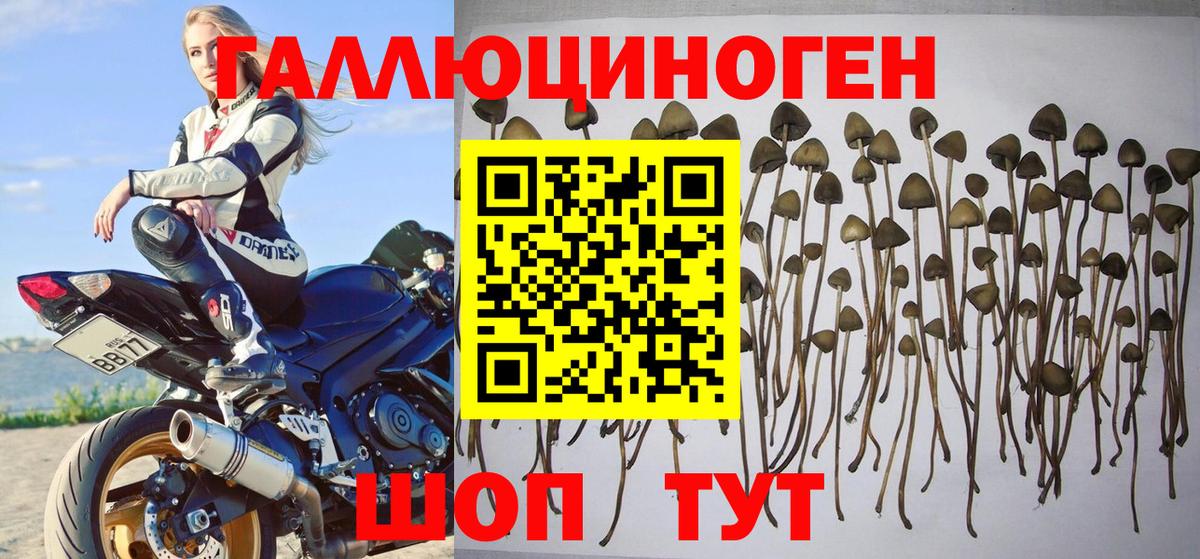 Галлюциногенные грибы мухоморы  Вход с VPN  Галлюциногенные грибы мицелий  Беслан 